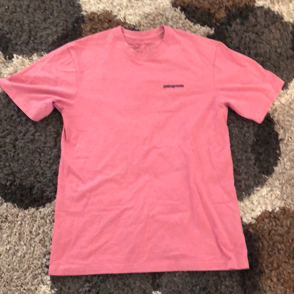 Mens Patagonia Tee